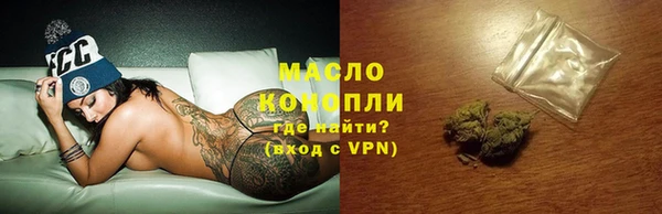 дмт Каменка