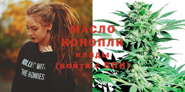 дмт Каменка