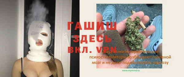 дмт Каменка
