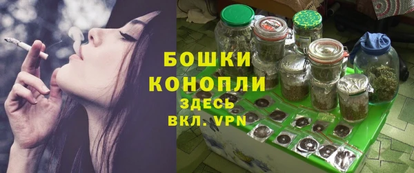 дмт Каменка