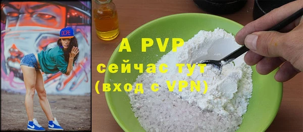 дмт Каменка